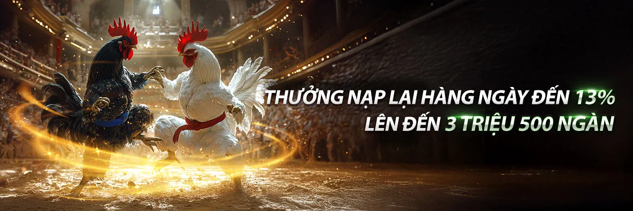 Đá gà trực tiếp 18/5/2024 tại VSWIN